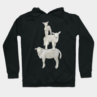 Cute Lambs Stand On Top Of Each Other Hoodie